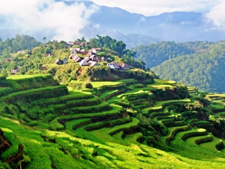 Maligcong Rice Terraces